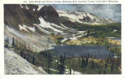 Medicina Bow National Forest, razglednica u Wyomingu