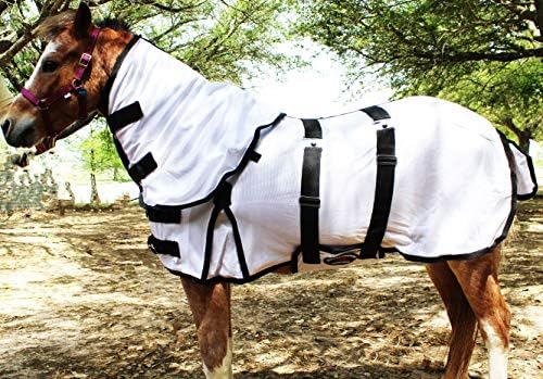 Challenger Minijaturni odvikani magarac pony konj ždrijeb ljetni letjeti bijela pokrivač 51809
