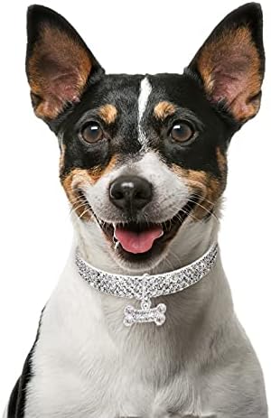 Dog Slatki kućni ogrlice za kućne ljubimce Mini Bling Rhinestone Fancy Dog ogrlica Slasna ogrlica za srce