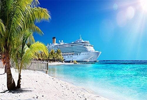 Pozadina broda za krstarenje od 7 do 7 stopa Karipsko more Pozadina fotografije Palm Coral Beach Pozadina za ljetnu zabavu na krstarenju